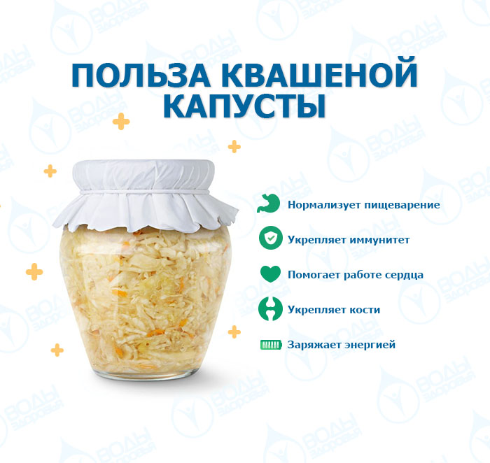 Квашеная капуста - польза для здоровья Квашеная капуста - польза для здоровья