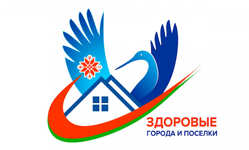 Профилактический проект «Здоровые города и поселки» Профилактический проект «Здоровые города и поселки»