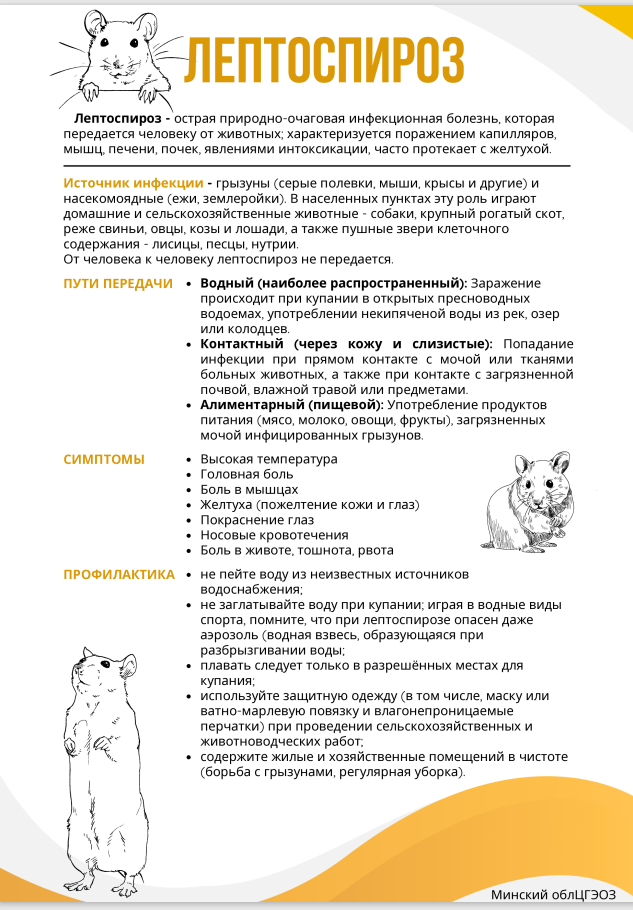 Лептоспироз Лептоспироз