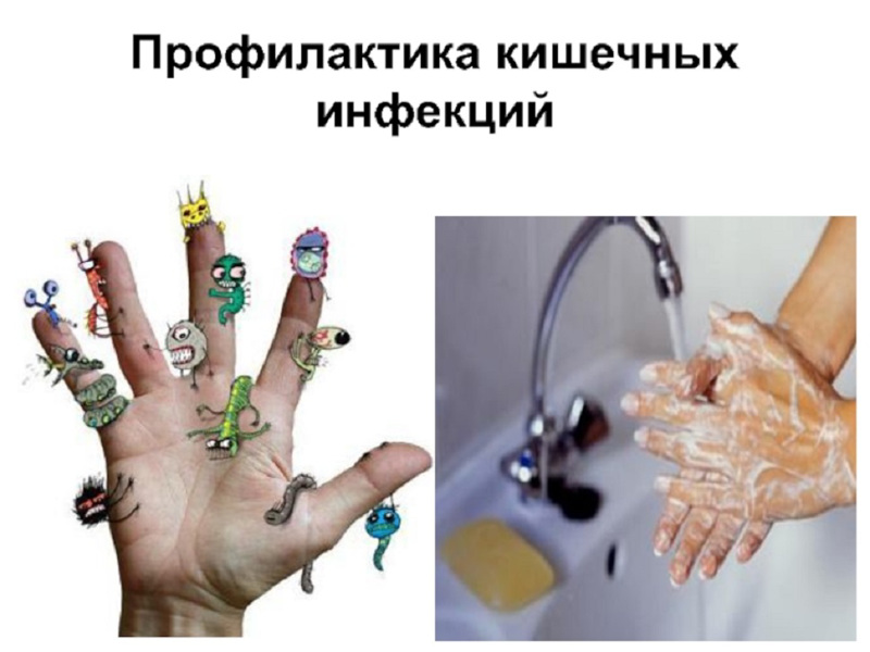 Профилактика кишечных инфекций на пищевых объектах Профилактика кишечных инфекций на пищевых объектах