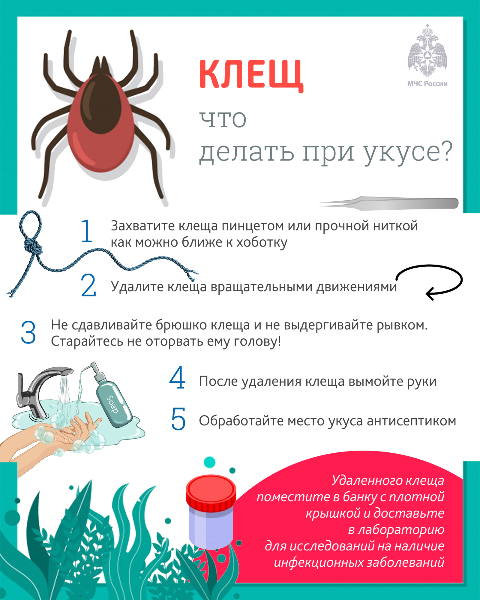 Памятка: что надо знать о клещах Памятка: что надо знать о клещах