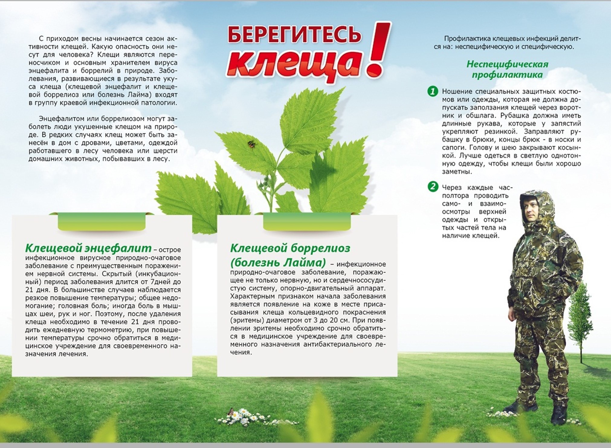 Памятка: берегись клеща! Памятка: берегись клеща!