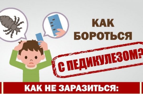 О профилактике педикулеза О профилактике педикулеза
