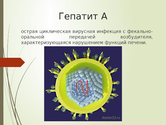О профилактике вирусного гепатита А. О профилактике вирусного гепатита А.