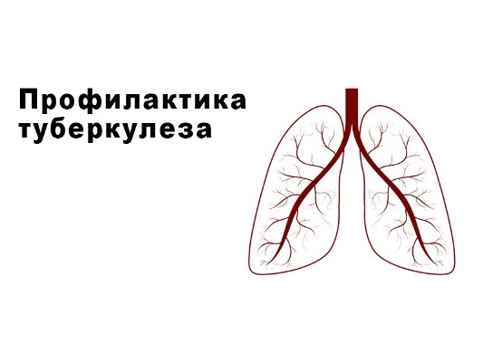О профилактике туберкулеза. О профилактике туберкулеза.