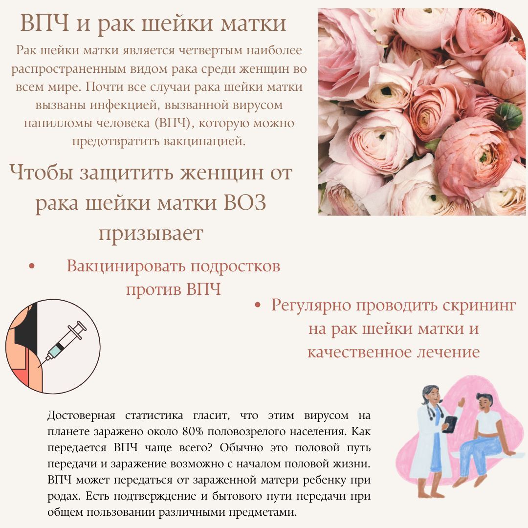 ВПЧ и рак шейки матки ВПЧ и рак шейки матки